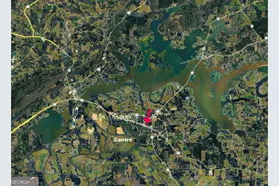 202 Iris Drive, Centre, AL 35960 - Photo 38