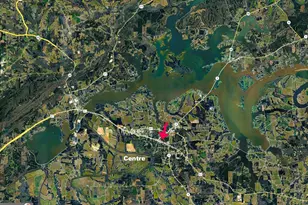 202 Iris Dr, Centre, AL 35960 - Photo 38