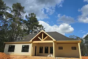 3801 Hutcheson Ferry Rd, Whitesburg, GA 30185 - Photo 4