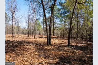 10.51 Acres River Road LOT #1, Waynesboro, GA 30830 - Photo 12