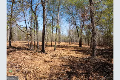 10.51 Acres River Road LOT #1, Waynesboro, GA 30830 - Photo 6