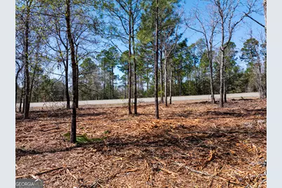 10.51 Acres River Road LOT #1, Waynesboro, GA 30830 - Photo 2