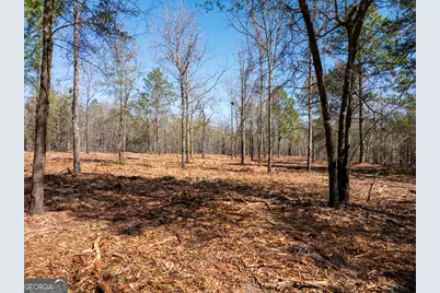 10.5 Acres River Road LOT #2, Waynesboro, GA 30830 - Photo 10