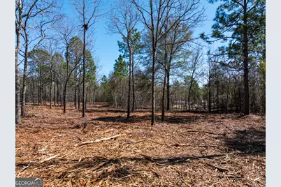 10.5 Acres River Road LOT #2, Waynesboro, GA 30830 - Photo 12