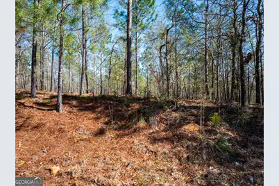 10.5 Acres River Road LOT #2, Waynesboro, GA 30830 - Photo 20