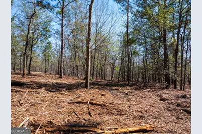 10.5 Acres River Road LOT #2, Waynesboro, GA 30830 - Photo 14