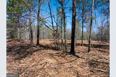 10.5 Acres River Road LOT #2, Waynesboro, GA 30830 - Photo 6