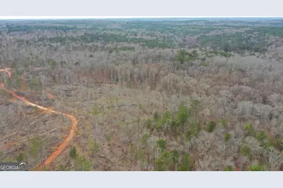 0 SW Union Church Road, Stockbridge, GA 30281 - Photo 20