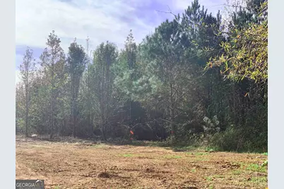 7506 Rivertown Road, Fairburn, GA 30213 - Photo 2