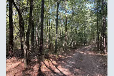 707 Pebblebrook Road #10.26 ACRES, Woodbury, GA 30293 - Photo 4