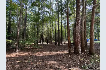 707 Pebblebrook Road #10.26 ACRES, Woodbury, GA 30293 - Photo 18