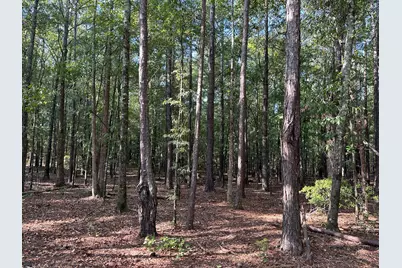 707 Pebblebrook Road #10.26 ACRES, Woodbury, GA 30293 - Photo 14