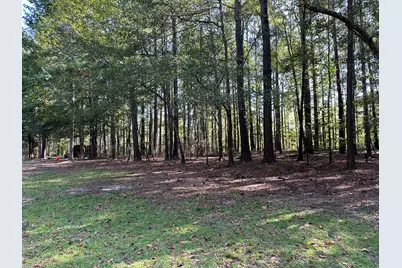 707 Pebblebrook Road #10.26 ACRES, Woodbury, GA 30293 - Photo 8