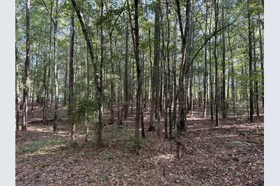 707 Pebblebrook Road #10.26 ACRES, Woodbury, GA 30293 - Photo 20