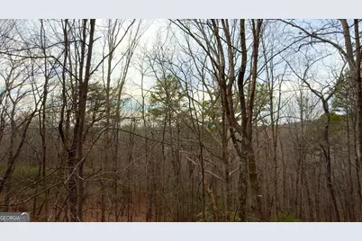 325 Pettit Ridge Rd, Ellijay, GA 30536 - Photo 36