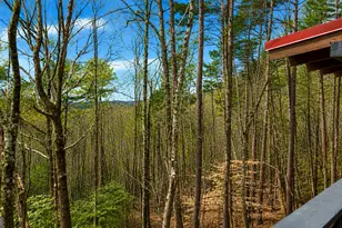325 Pettit Ridge Rd, Ellijay, GA 30536 - Photo 6