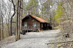 325 Pettit Ridge Rd, Ellijay, GA 30536 - Photo 40
