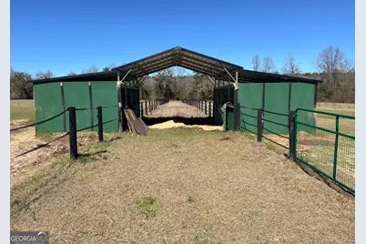 1685 Union Hill Road, Pelham, GA 31779 - Photo 4