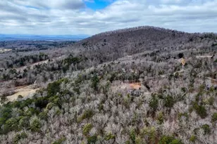 180 Shepherds Ridge Rd, Morganton, GA 30560 - Photo 24