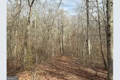 114 River Cove (Tract 16), Carrollton, GA 30117 - Photo 38