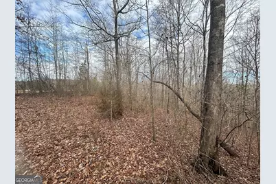 114 River Cove (Tract 16), Carrollton, GA 30117 - Photo 64