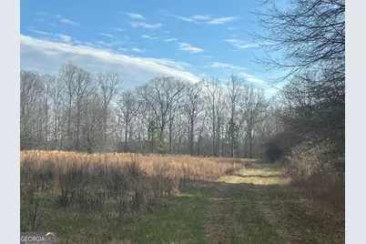 114 River Cove (Tract 16), Carrollton, GA 30117 - Photo 48