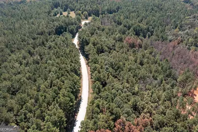 114 River Cove (Tract 16), Carrollton, GA 30117 - Photo 12