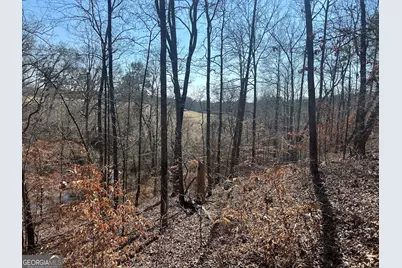 114 River Cove (Tract 16), Carrollton, GA 30117 - Photo 72