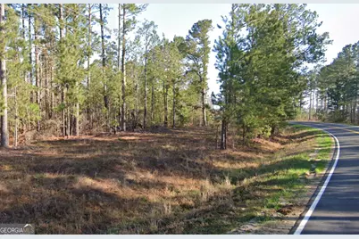 0 Wadley Coleman Lake, Midville, GA 30441 - Photo 4