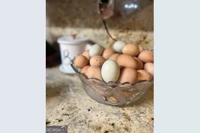 764 Ansley Road, Warrenton, GA 30828 - Photo 10