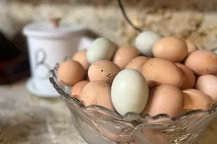 764 Ansley Rd, Warrenton, GA 30828 - Photo 10