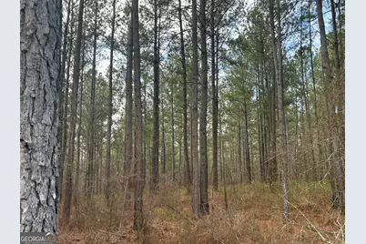 237 Riversong (Tract 10), Carrollton, GA 30117 - Photo 22