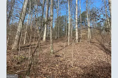 237 Riversong (Tract 10), Carrollton, GA 30117 - Photo 70