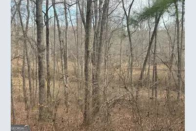 236 Riversong (Tract 8), Carrollton, GA 30117 - Photo 58