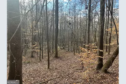 236 Riversong (Tract 8), Carrollton, GA 30117 - Photo 66