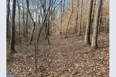 222 Riversong (Tract 7), Carrollton, GA 30117 - Photo 40