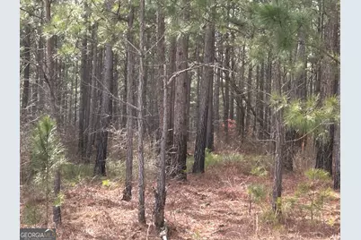 222 Riversong (Tract 7), Carrollton, GA 30117 - Photo 20