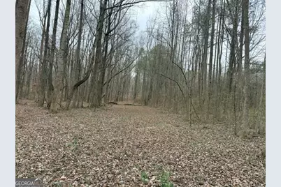 0 Tarpkins Road, Commerce, GA 30530 - Photo 6