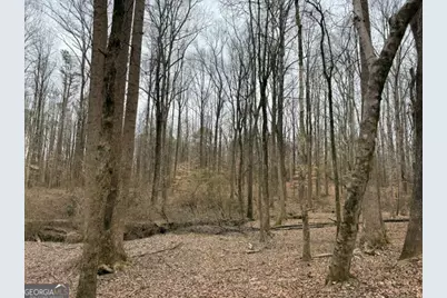 0 Tarpkins Road, Commerce, GA 30530 - Photo 4