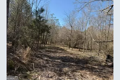 0 Tarpkins Road, Commerce, GA 30530 - Photo 8