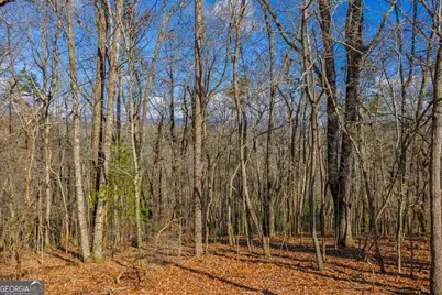 55 Spruce Drive #55, Ellijay, GA 30540 - Photo 8