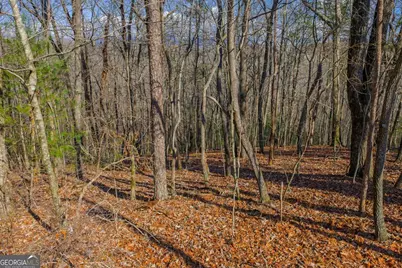 55 Spruce Drive #55, Ellijay, GA 30540 - Photo 4