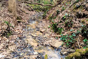 91 Rose Cir, Clayton, GA 30525 - Photo 4