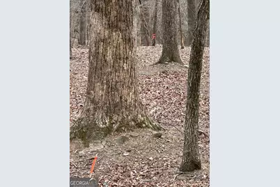 1225-1227 Oglethorpe Road, Jasper, GA 30143 - Photo 10