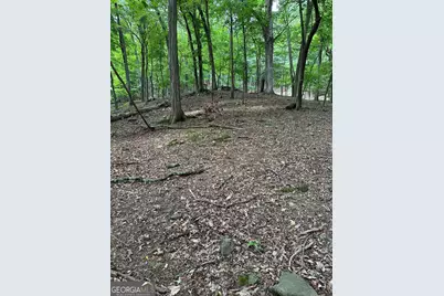 1225-1227 Oglethorpe Road, Jasper, GA 30143 - Photo 6