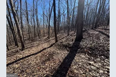 0 Brown Creek Road, Shiloh, GA 31826 - Photo 10