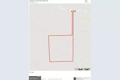 0 Brown Creek Road, Shiloh, GA 31826 - Photo 30