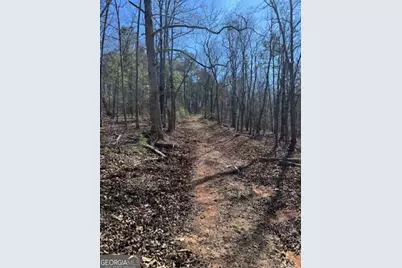 0 Brown Creek Road, Shiloh, GA 31826 - Photo 16