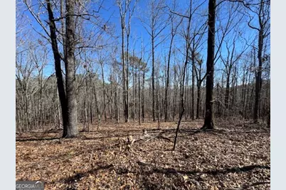 0 Brown Creek Road, Shiloh, GA 31826 - Photo 20
