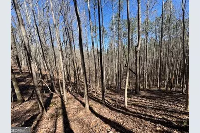 0 Brown Creek Road, Shiloh, GA 31826 - Photo 24